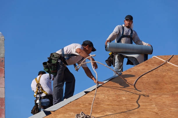 Best Best Roofing Contractors  in Whiskey Creek, FL